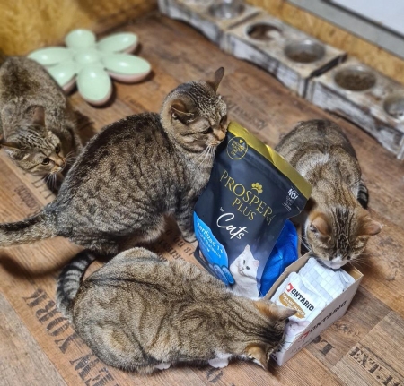 Zvíře v tísni, z.s. 2